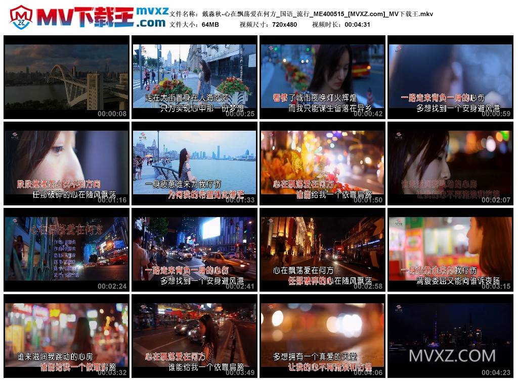 戴淼秋-心在飘荡爱在何方_国语_流行_ME400515